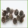 Decoración de Árbol de Navidad Piñas de Pino Teñidas de Blanco Flores Secas Materiales Creativos para Manualidades Piñas de Cedro Pino Aceitado Pino Americano Piñas de Pino Blanco Sumergidas