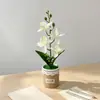 Quatro orquídeas Phalaenopsis artificiais estilo nórdico em vasos de tecido, flores artificiais e plantas verdes para bonsai de mesa, adereços de fotografia e itens decorativos