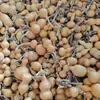 Venda Direta de Fábrica de Brinquedos de Cabacinha Natural, Enfeites de Mesa de Escritório, Pequenas Cabacinhas Torcidas à Mão Atacado