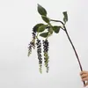 Colgante de planta Fruto de aliso Pegamento suave Fruto de frijol del amor Colgante de pared Decoración de paisajismo Accesorios para arreglos florales Seda suave
