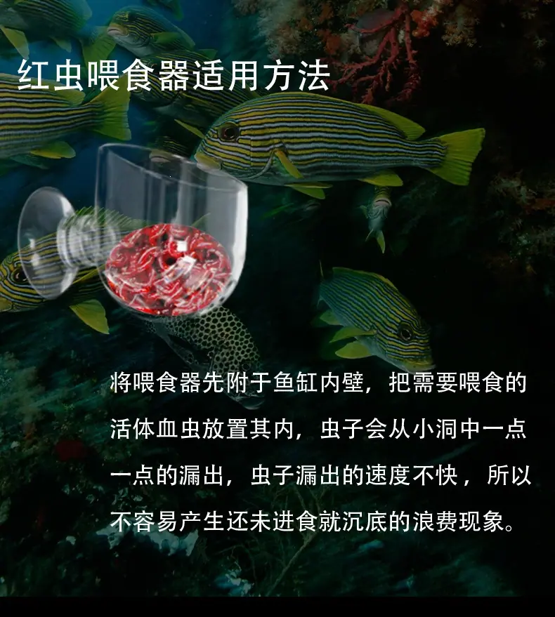 红虫详情_10.jpg