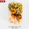 Flor Eterna Natural Flor Seca Mista Flor Artificial Artesanal DIY Caseiro Tuan Fan Adesivo Gotejamento Goma Flutuador Material de Flor
