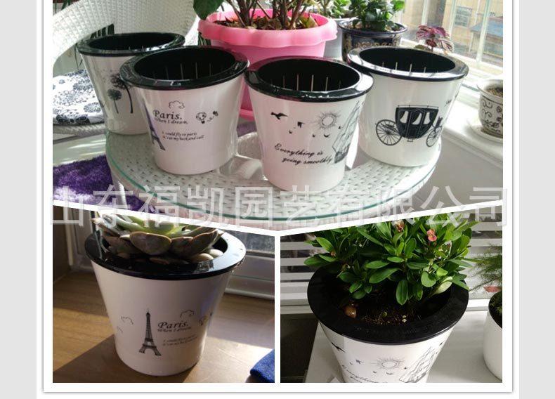 风情款详情页_13