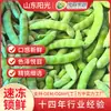 Judías Verdes Congeladas Rápidamente, Habas Congeladas, Venta al por Mayor desde el Fabricante, Venta al por Mayor Comercial de Verduras Congeladas Rápidamente, Adecuado para Procesamiento