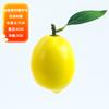 Frutas Simuladas, Modelos de Limón de Fruta Falsa, Accesorios de Fotografía de Manzana Falsa, Accesorios de Rama, Adornos Decorativos para Arreglo de Escena