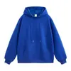 Moletom com capuz e gola redonda, forrado com fleece, para outono e inverno, 450g, peça versátil, vestuário de trabalho no atacado para homens e mulheres, fornecimento direto da fábrica