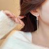 Aretes Largos con Borlas para Mujer, Lujo Ligero y Sensación de Alta Gama, Aretes de Aguja de Plata, Nuevo Estilo Popular, Joyería para Orejas de Temperamento Único