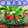 Suporte para Plantio de Morango, Estrutura de Suporte Simples, Suporte para Morangos, Rack de Bandeja de Flores para Jardinagem Anti-Podridão e Anti-Queda