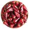 Pimentas Secas tipo Bala de Guizhou Pimentas Lanterna de Sichuan Picância Média Extra Aromáticas Pimentas Chao Tian Pimentas Vermelhas Secas Produtos Secos Farinha de Pimenta