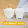 Nuevo macetero blanco octagonal grueso para suculentas, maceta cuadrada de plástico para plántulas de plantas, maceta cuadrada de resina al por mayor