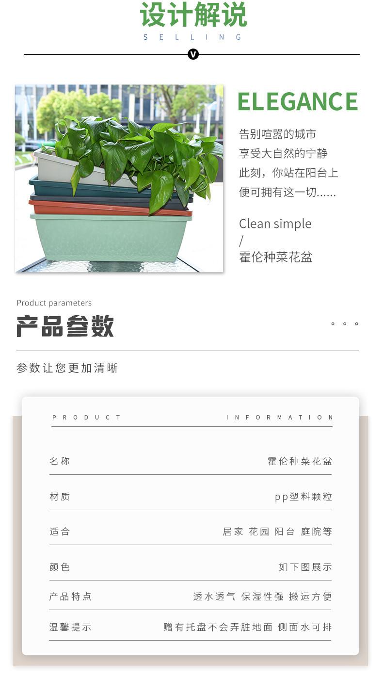 虎威详情_02