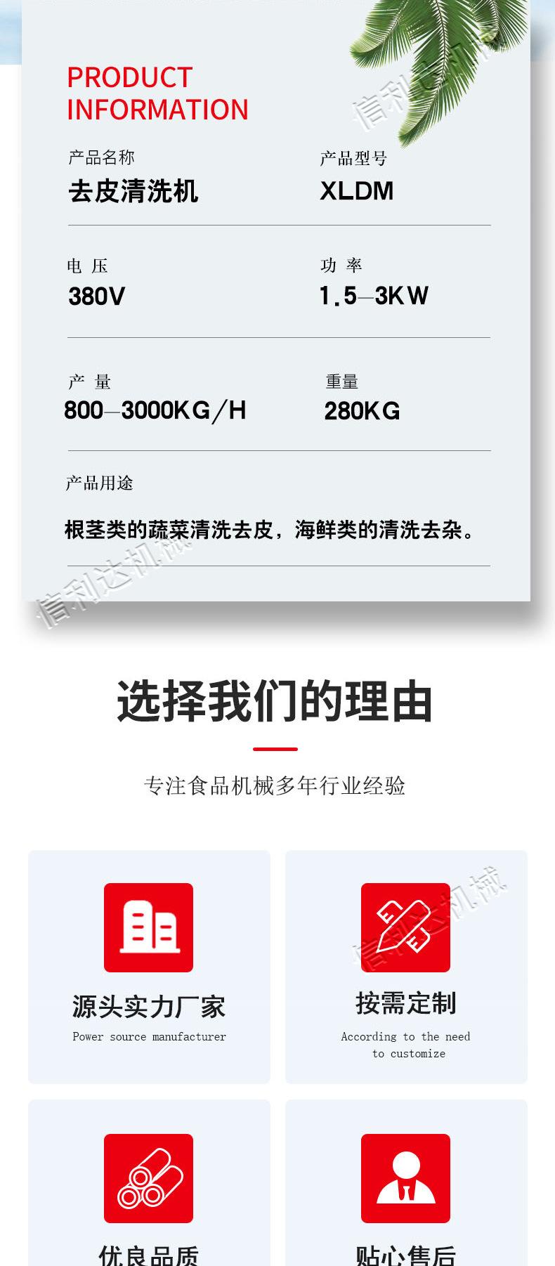 毛辊清洗机_02.jpg