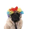 Conjunto de Peruca Afro Colorida para Pessoas e Animais de Estimação, Adereço de Cabeça Multicolorido Engraçado e Excêntrico para Apresentações de Palhaço