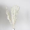 Flores Secas Brancas Flores Reais Buquê Tom Creme Gypsophila Rabo de Coelho Grama Flor Octogonal Pequena Zou Ju Rodin Pássaro