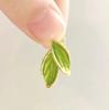 Clip para Oreja Hoja Glaseada Brote Verde Nuevo Fresco Lujo Ligero Exquisito Pendientes Joker Venta al por Mayor