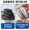 Fabricantes de Pepinos de Mar al por Mayor Pepinos de Mar Ligeramente Secos, Pepinos de Mar de Liaoning, Pepinos de Mar de Alta Calidad con Carne Carnosa, Pepinos de Mar Pequeños Ligeramente Secos, Productos Secos, Pepinos de Mar Viejos de Liaoning
