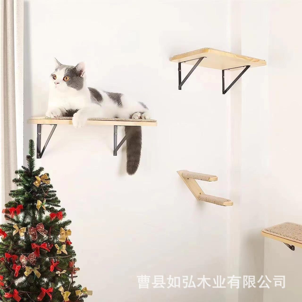 微信图片_202408311306541