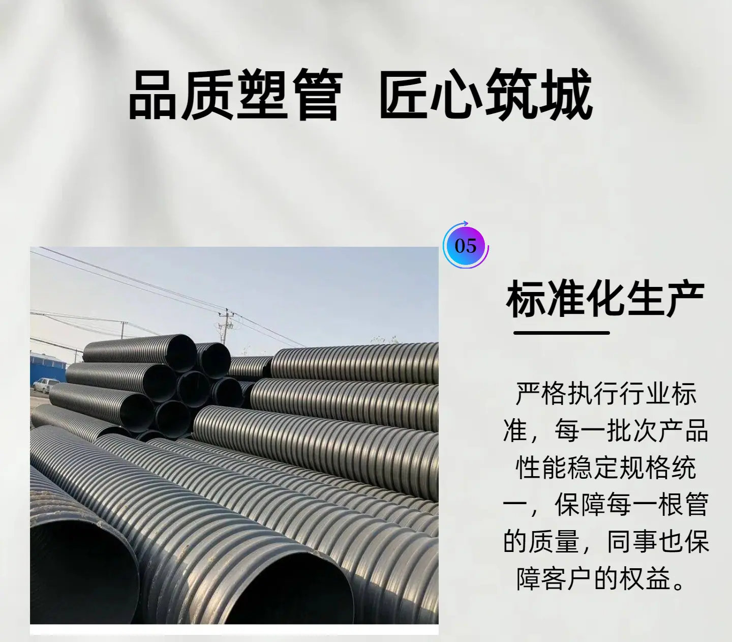 未命名的设计8
