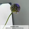Cebolas Flores de Simulação para Casamento Auditório de Casamento Sala de Estar Mesa de Jantar Flores Decorativas Cebolas Falsas Flores Artificiais Simulação Cebolas Individuais