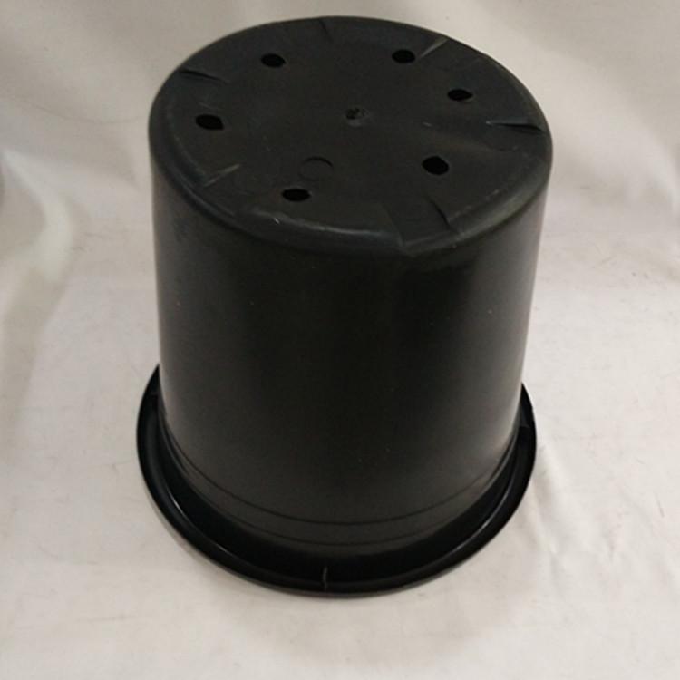 IMG_20150604_134527_副本