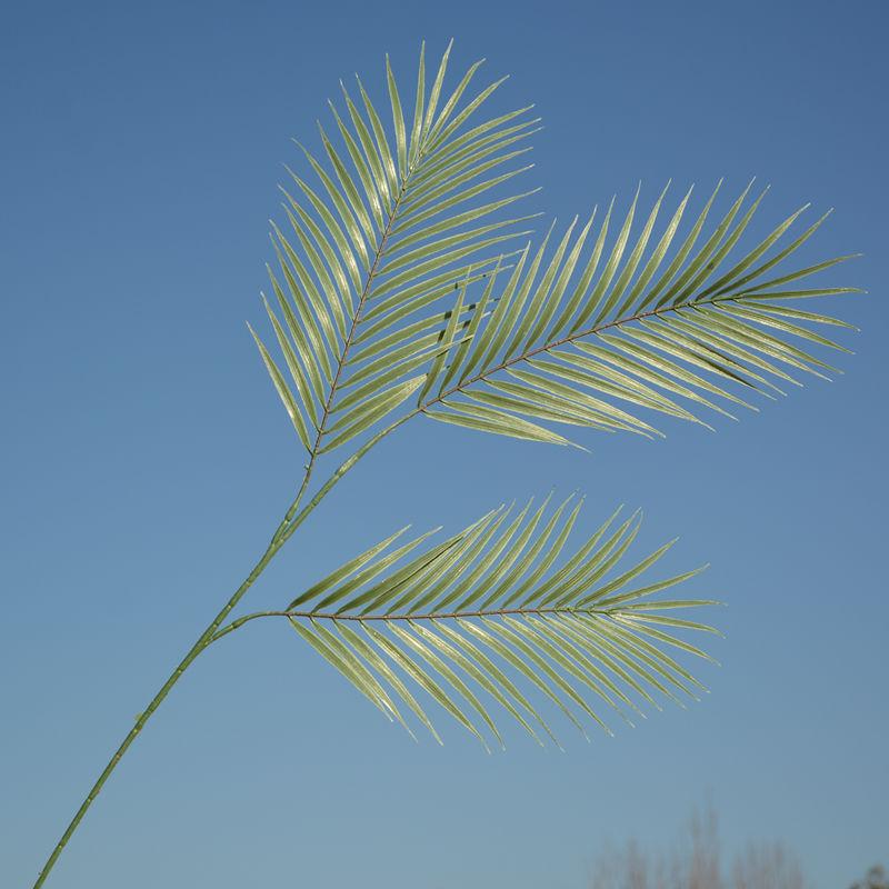 DSC_4579_副本