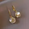 Brincos de tarracha de hortênsia opala para mulheres outono e inverno fivela de ouvido de nicho retro de corte 2021 novos brincos de design simples da moda