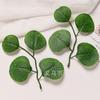 Simulación Planta Verde Hojas Individuales de Eucalipto Hojas Artificiales de Eucalipto Decoración de Prendas Eucalipto Planta de Simulación Diseño de Escena