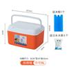 Incubadora comercial para puesto de hielo, cubo para mantener los alimentos frescos y fríos, refrigerador práctico para coche, camping al aire libre, picnic.