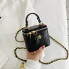 Bolso Mini para Labiales de Nicho para Mujer 2026 Nueva Moda Acolchado con Cadena Bolso Cuadrado Pequeño con Acabado de Alta Gama, Bolso de Hombro Cruzado
