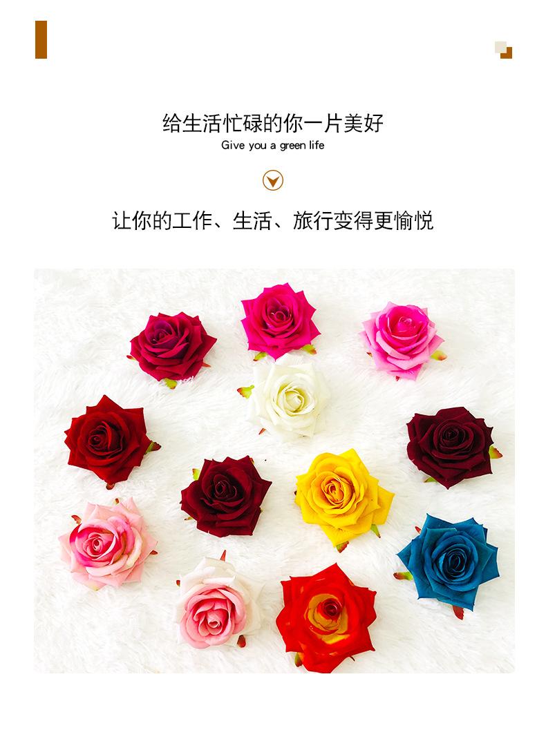 角玫瑰_03
