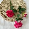 Peônias Artificiais, Flores Falsas Estilo Primavera para Casamentos, Paredes de Flores para Casamento, Decorações de Corredor, Decorações de Teto, Decoração de Casa, Atacado Internacional de Florais
