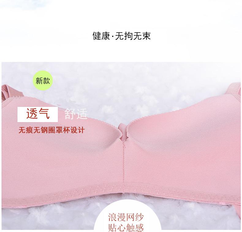 未标题-1_02