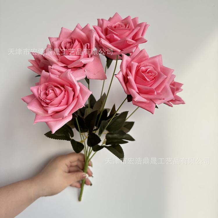 微信图片_202303081757429_副本