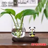 Gatinho pescando, panda, sapo, gato siamês, planta jiboia, vaso hidropônico, ornamento de mesa, decoração de mesa de escritório