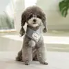 Roupas para Gatos, Cachecóis para Pets de Outono e Inverno, Coleiras Fofas, Acessórios para Gatos, Babadores, Chapéus para Gatinhos, Cachecóis para Pescoço de Cachorros, Natal