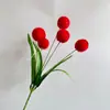 5 bolas de pelo com flocado bola da sorte buquê de simulação flores secas flores artificiais display de sala de estar flores decorativas de piso europeias