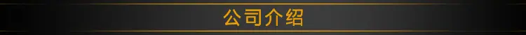 公司