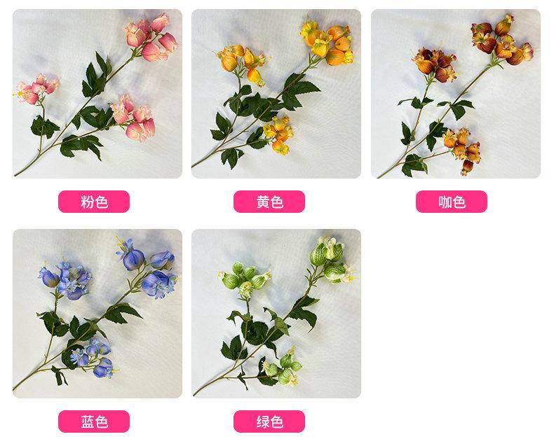 产品颜色.jpg