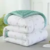 Edredom de Algodão Lavado Versão AB com Veludo Leite para Primavera e Outono, Forrado com Lã para Aquecimento, Edredom de Inverno com Núcleo de Edredom de Soja Espesso e Quente