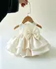 Estilo Verano Bebé Gama Alta Beige Satín Vestido Princesa Vestido Bebé de un Año Niña Lazo Nudo Vestido Abullonado