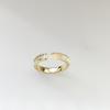 Anillo de Concha con Letra de Circonita Exquisito de Lujo Ligero para Socialité para Mujer Diseño Nicho ins Sentido de la Moda Anillo Apilado de Moda