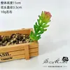 2026 Simulación de Suculentas Mini Adornos Combinación Decoración Exterior para el Hogar Plantas en Maceta Bonsái Suculentas Decoración al por Mayor