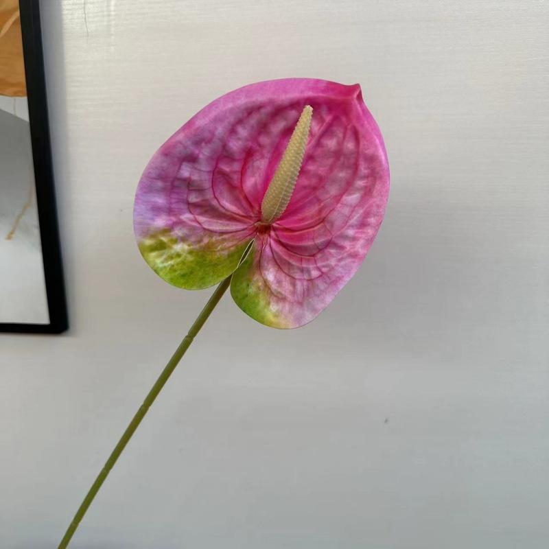 掌玫粉