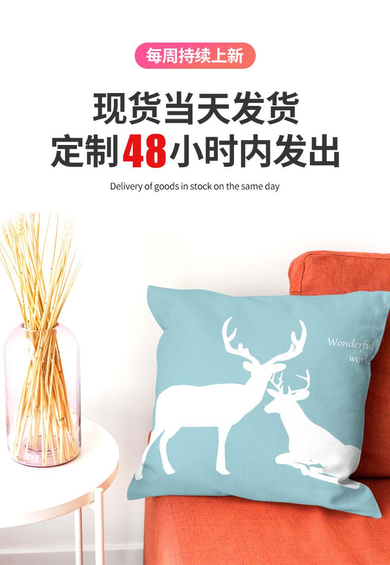 抱枕_01.jpg