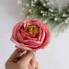 Cabezas de Flores Artificiales de Rosa Estilo Ins, Flores Falsas, Plantas Verdes al por Mayor, Manualidades para Decoración de Bodas