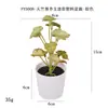 Más de 100 Tipos de Flores Artificiales y Plantas Verdes, Combinaciones de Plantas Artificiales en Maceta de Plástico, Flores Artificiales de Venta Caliente Transfronteriza, Mini Bonsáis Artificiales, Fuentes de Suministro