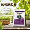 Fertilizante Nutritivo para Uvas Biofertilizante Natural Fertilizante Orgánico Genuino Fertilizante Base Fertilizante Compuesto Gránulos de Nitrógeno Fósforo Fertilizante de Liberación Lenta