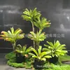 Planta de Simulação Sala de Estar Vasos Chão Janela Decoração Paisagem Interna Decoração Sisal Agave Verde Vermelho de Simulação