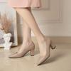 Zapatos informales de tacón alto con punta puntiaguda y tacón grueso para mujer, moda coreana, otoño 2021, envío directo