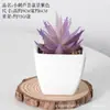 Bonsái de Plástico Artificial Carnoso Decoración de Flores Artificiales Bonsái Interior Hogar Oficina Planta Verde Pequeños Adornos Plantas Artificiales